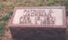 pcjackman.jpg (78207 bytes)