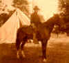 croppedhorsephoto.JPG (160453 bytes)