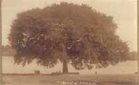 Le Claire Township